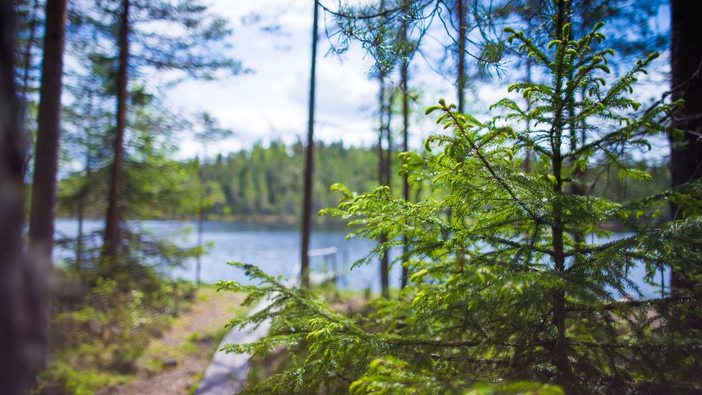 Tampereenilo.fi - Luonnon monimuotoisuus